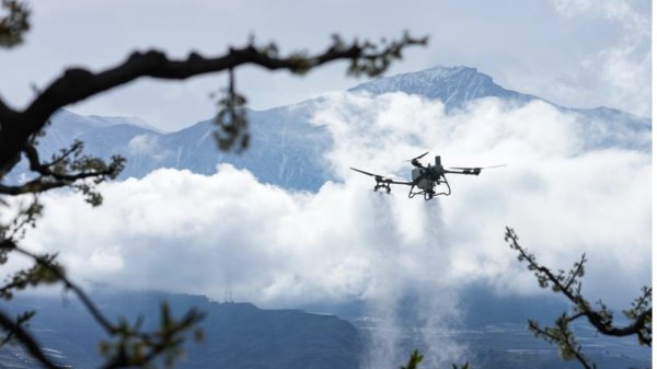 康强电子：一季度净利润2546.77万元 同比下降1.74%