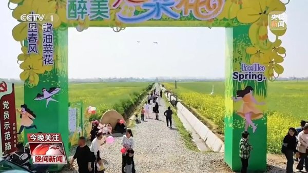 穿行花海间，乘着列车解锁春日浪漫