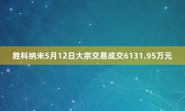 胜科纳米5月12日大宗交易成交6131.95万元