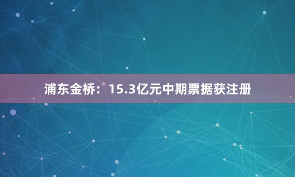 浦东金桥：15.3亿元中期票据获注册