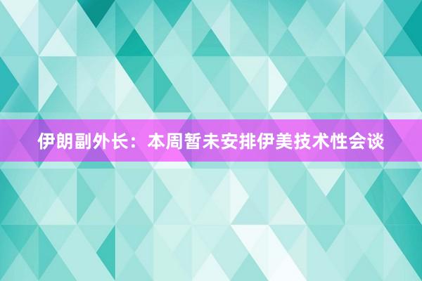 伊朗副外长：本周暂未安排伊美技术性会谈
