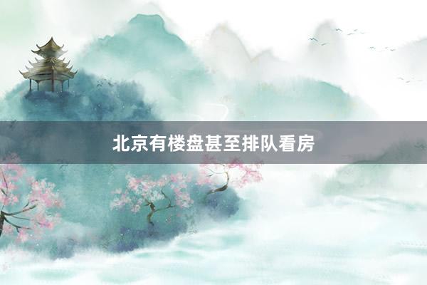 北京有楼盘甚至排队看房