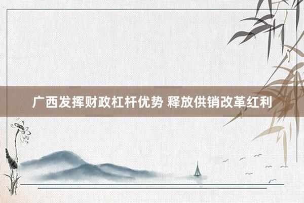 广西发挥财政杠杆优势 释放供销改革红利