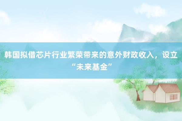 韩国拟借芯片行业繁荣带来的意外财政收入，设立“未来基金”