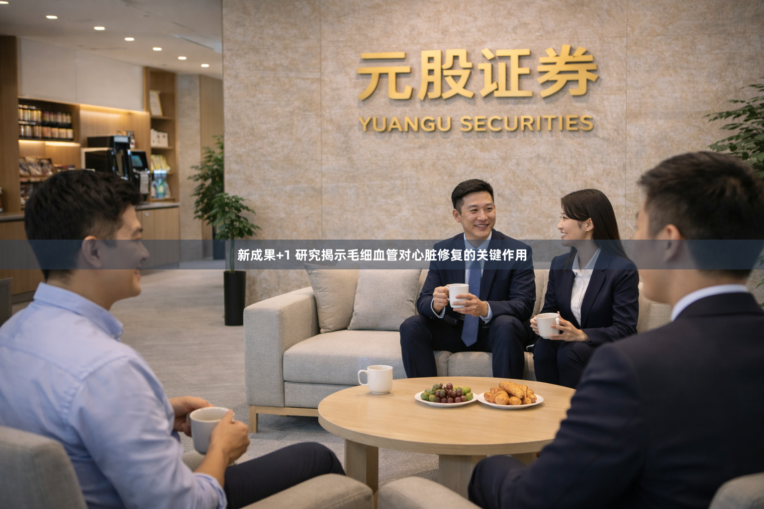 新成果+1 研究揭示毛细血管对心脏修复的关键作用