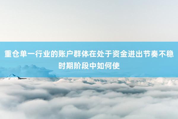 重仓单一行业的账户群体在处于资金进出节奏不稳时期阶段中如何使