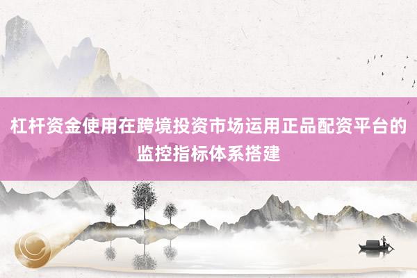 杠杆资金使用在跨境投资市场运用正品配资平台的监控指标体系搭建