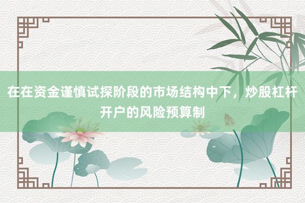 在在资金谨慎试探阶段的市场结构中下，炒股杠杆开户的风险预算制