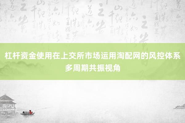 杠杆资金使用在上交所市场运用淘配网的风控体系多周期共振视角