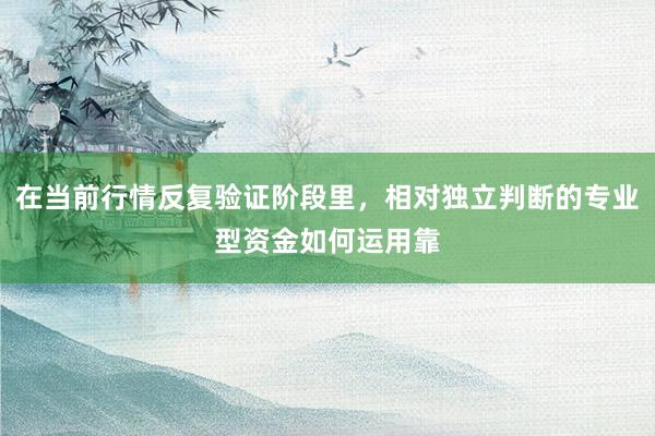 在当前行情反复验证阶段里，相对独立判断的专业型资金如何运用靠