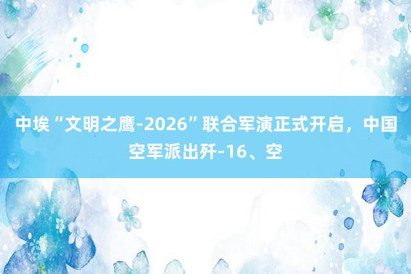 中埃“文明之鹰-2026”联合军演正式开启，中国空军派出歼-16、空