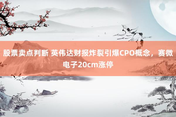 股票卖点判断 英伟达财报炸裂引爆CPO概念，赛微电子20cm涨停