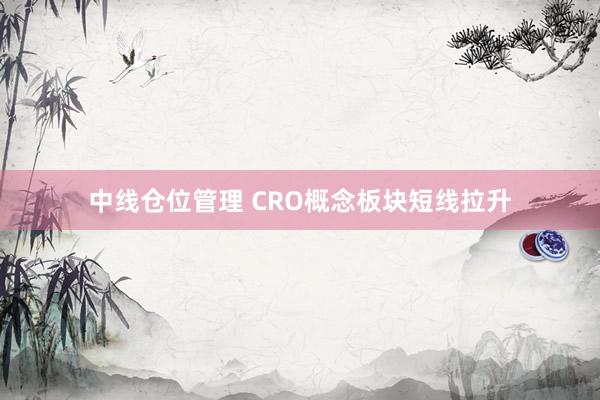 中线仓位管理 CRO概念板块短线拉升