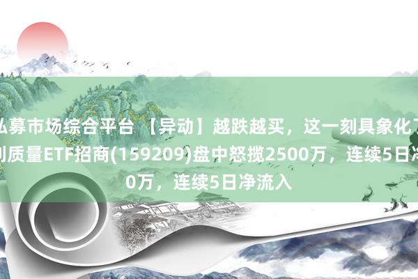 私募市场综合平台 【异动】越跌越买，这一刻具象化了！红利质量ETF招商(159209)盘中怒揽2500万，连续5日净流入