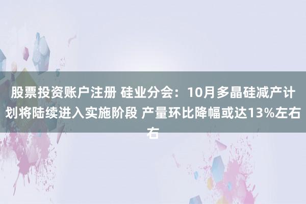 股票投资账户注册 硅业分会：10月多晶硅减产计划将陆续进入实施阶段 产量环比降幅或达13%左右