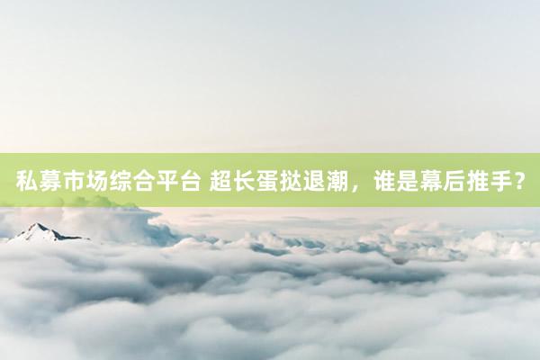 私募市场综合平台 超长蛋挞退潮，谁是幕后推手？